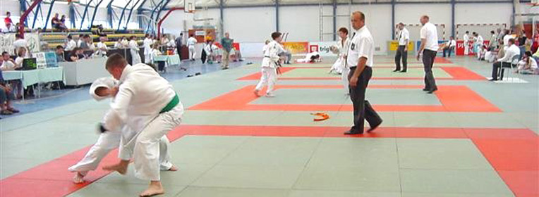 judo